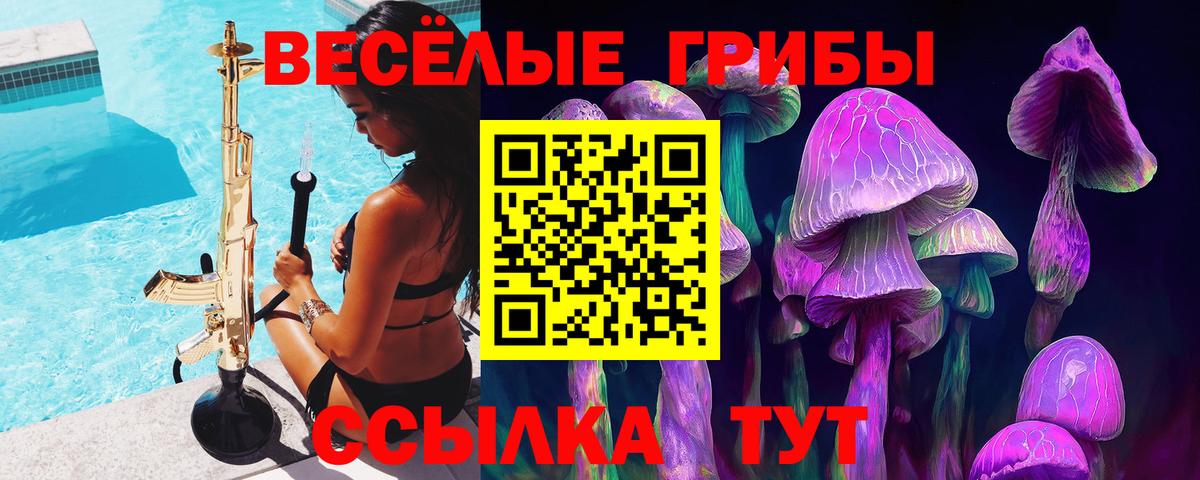 Псилоцибиновые грибы Psilocybe  Вход с VPN  Унеча 